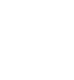 4.9 STAR REVIEWS