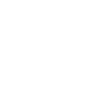 4.9 STAR REVIEWS